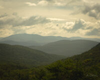 White Mountains from Lost River, August 2021
